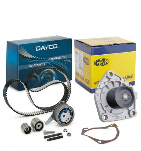 Kit cinghia distribuzione - cinghia,